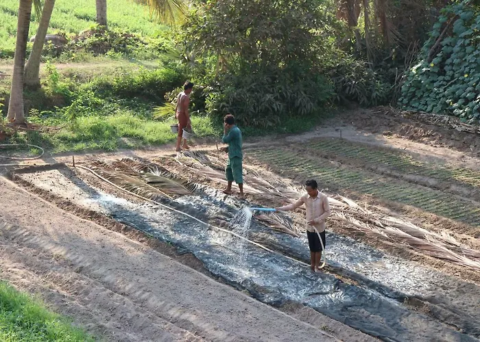 Angkor Family Homestay Siem Reap